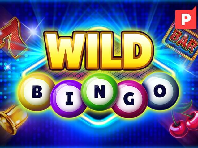 920win Bingo Selvagem
